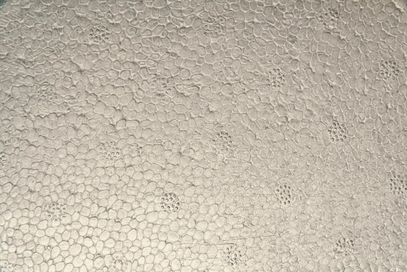 Photograph of a styrofoam texture pattern